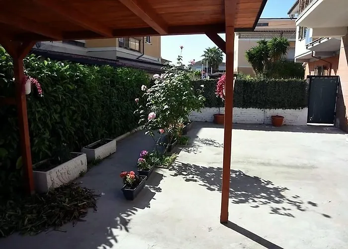 Aurora Fronte Daire *